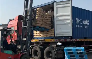 Waarom importeren Zuid-Koreaanse kopers zoete aardappelzetmeel uit Lulong? Een blik op het laad- en verzendproces bij Tongyou Potato Industry